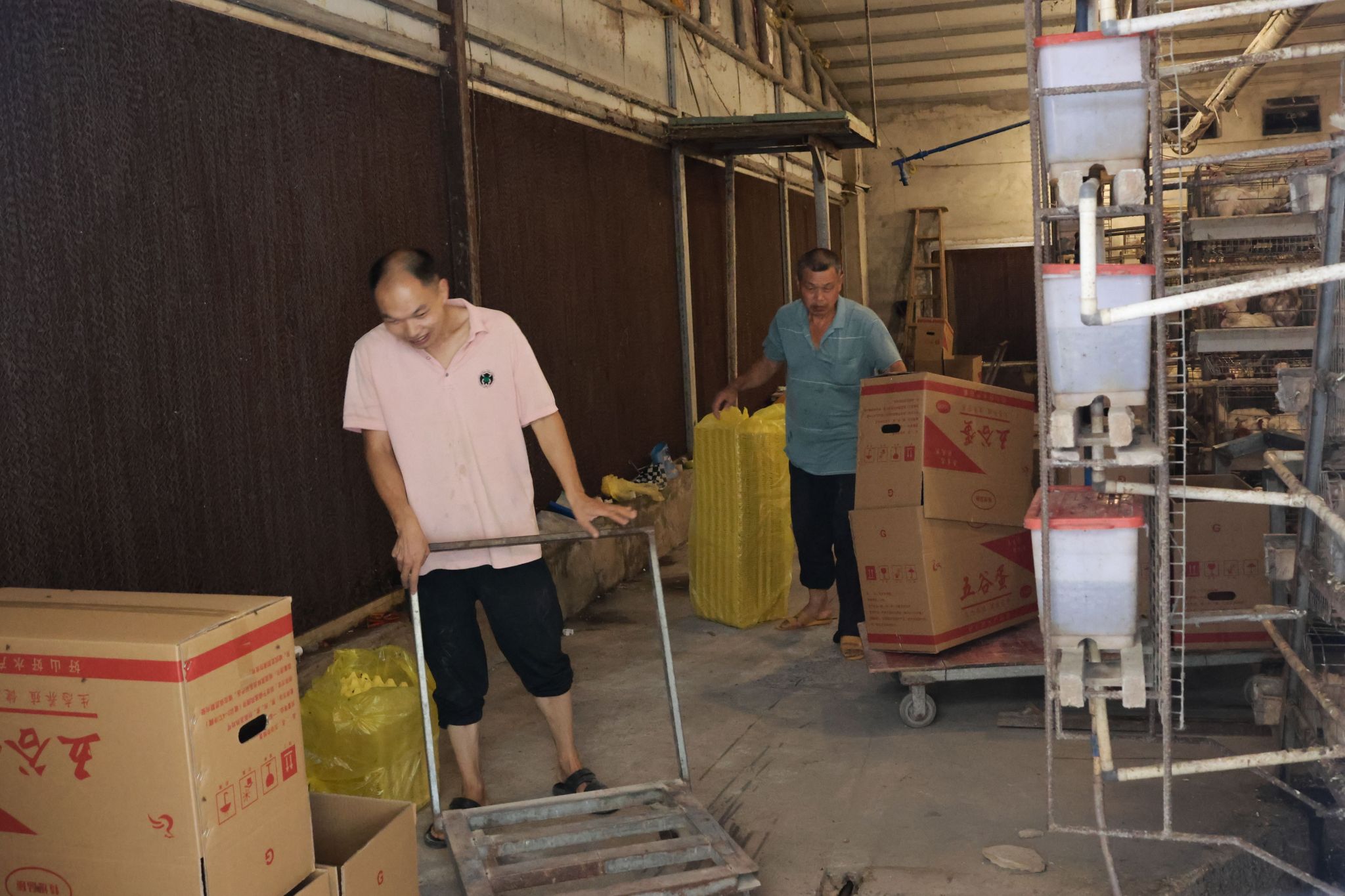 威廉希尔中文网站平台