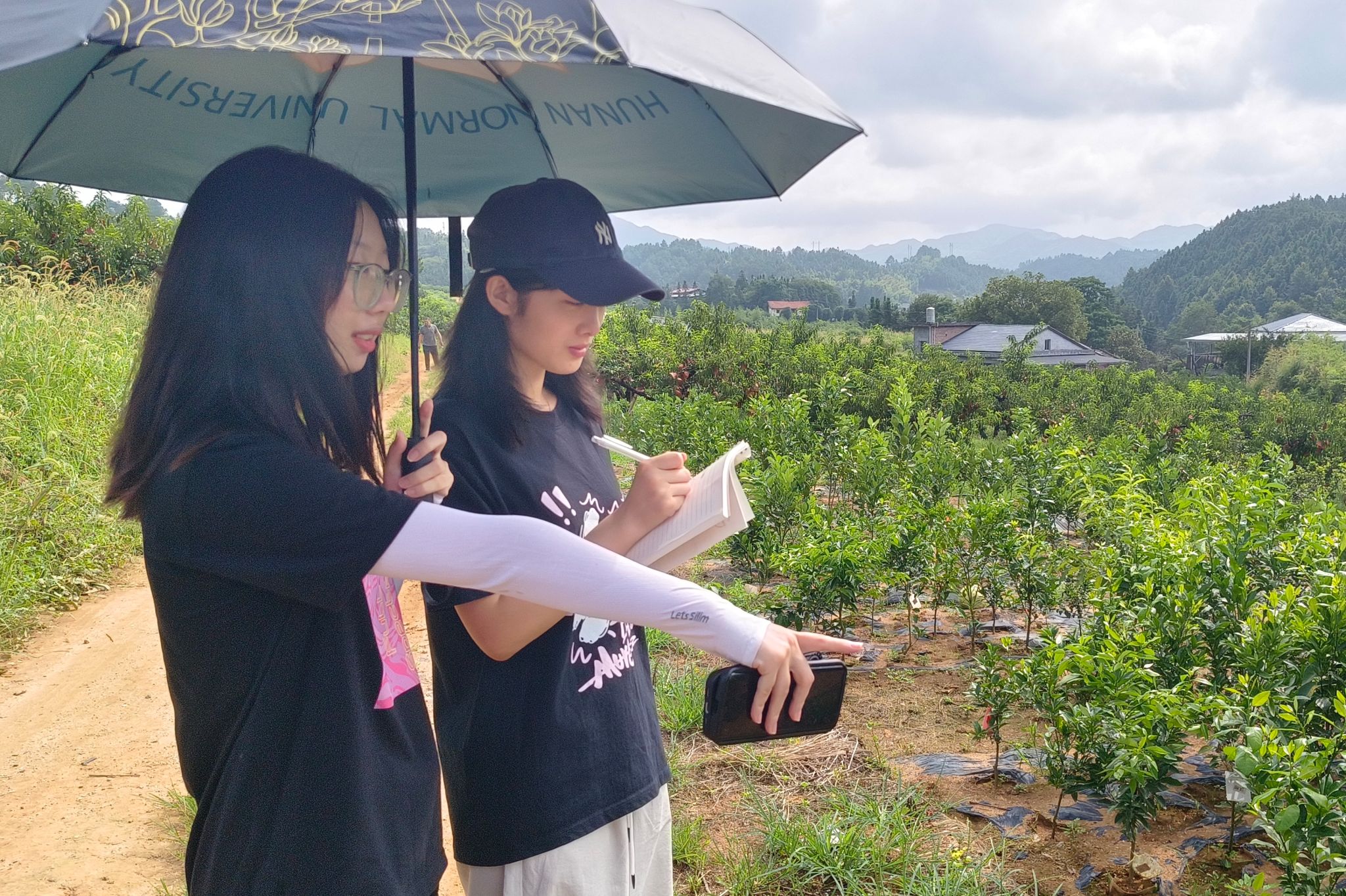 威廉希尔中文网站平台