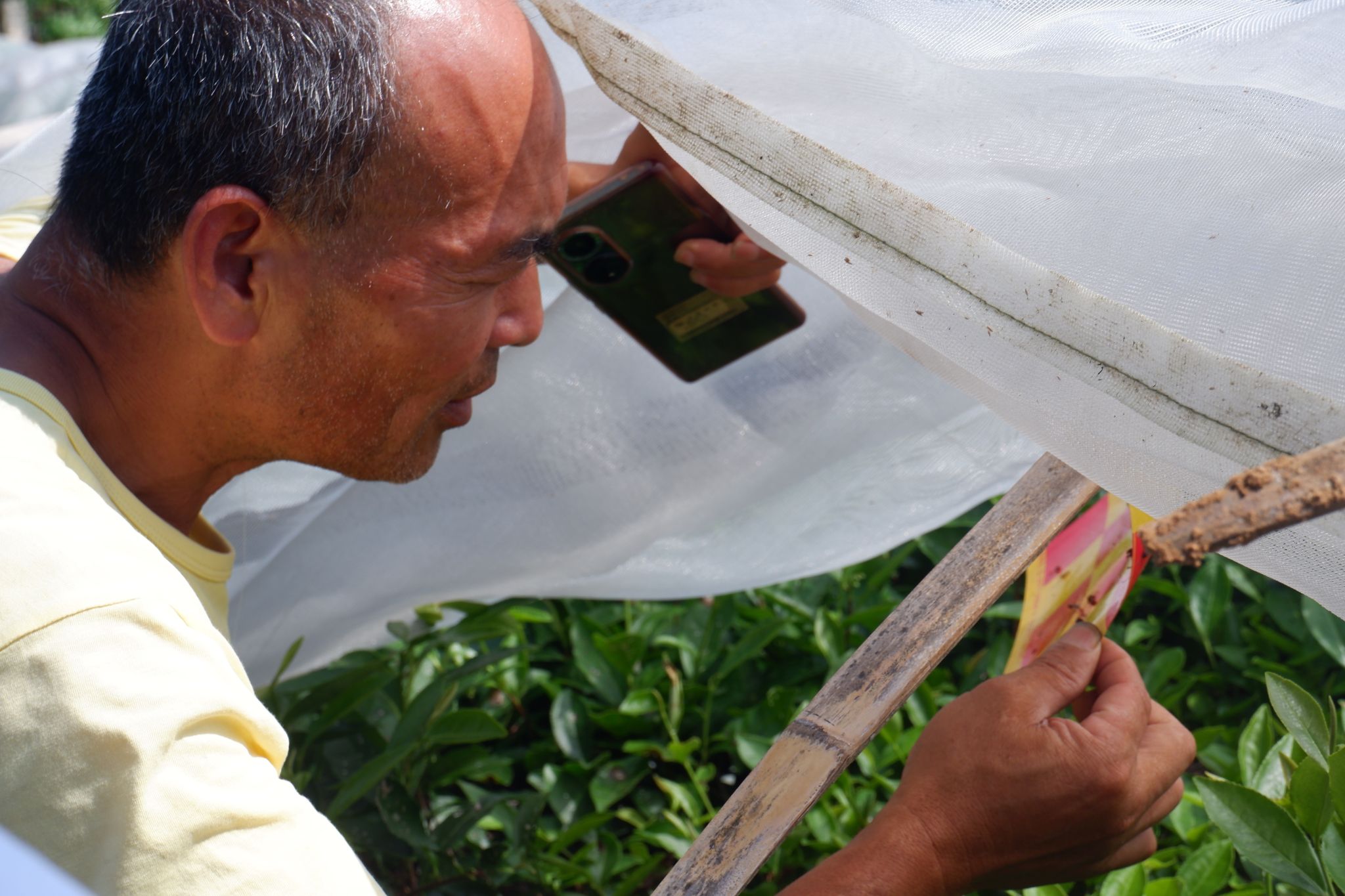 威廉希尔中文网站平台