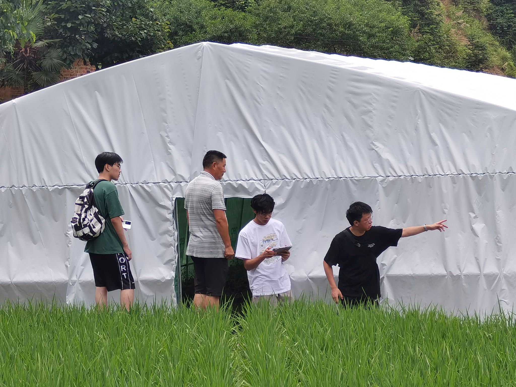 威廉希尔中文网站平台