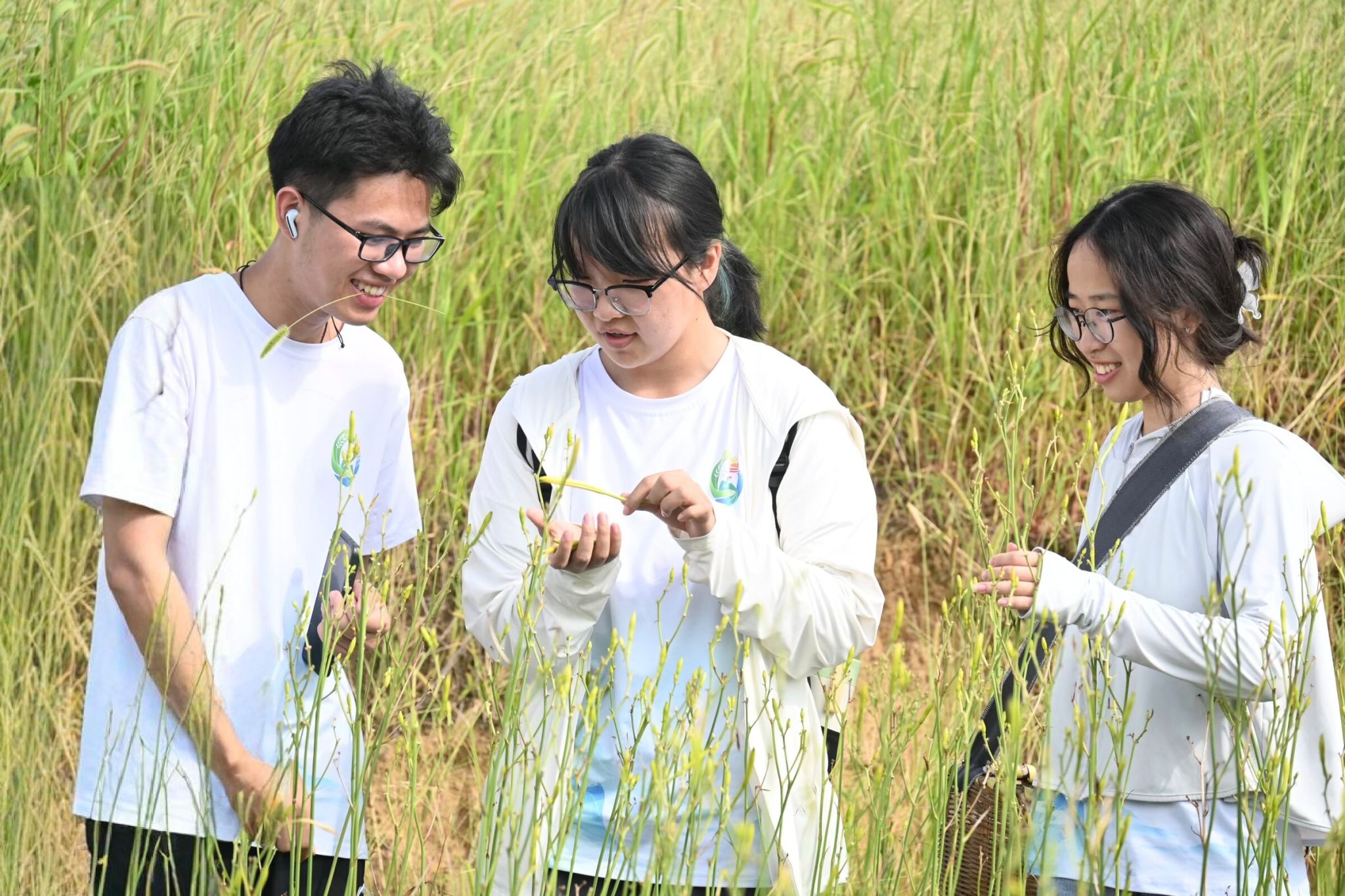 威廉希尔中文网站平台