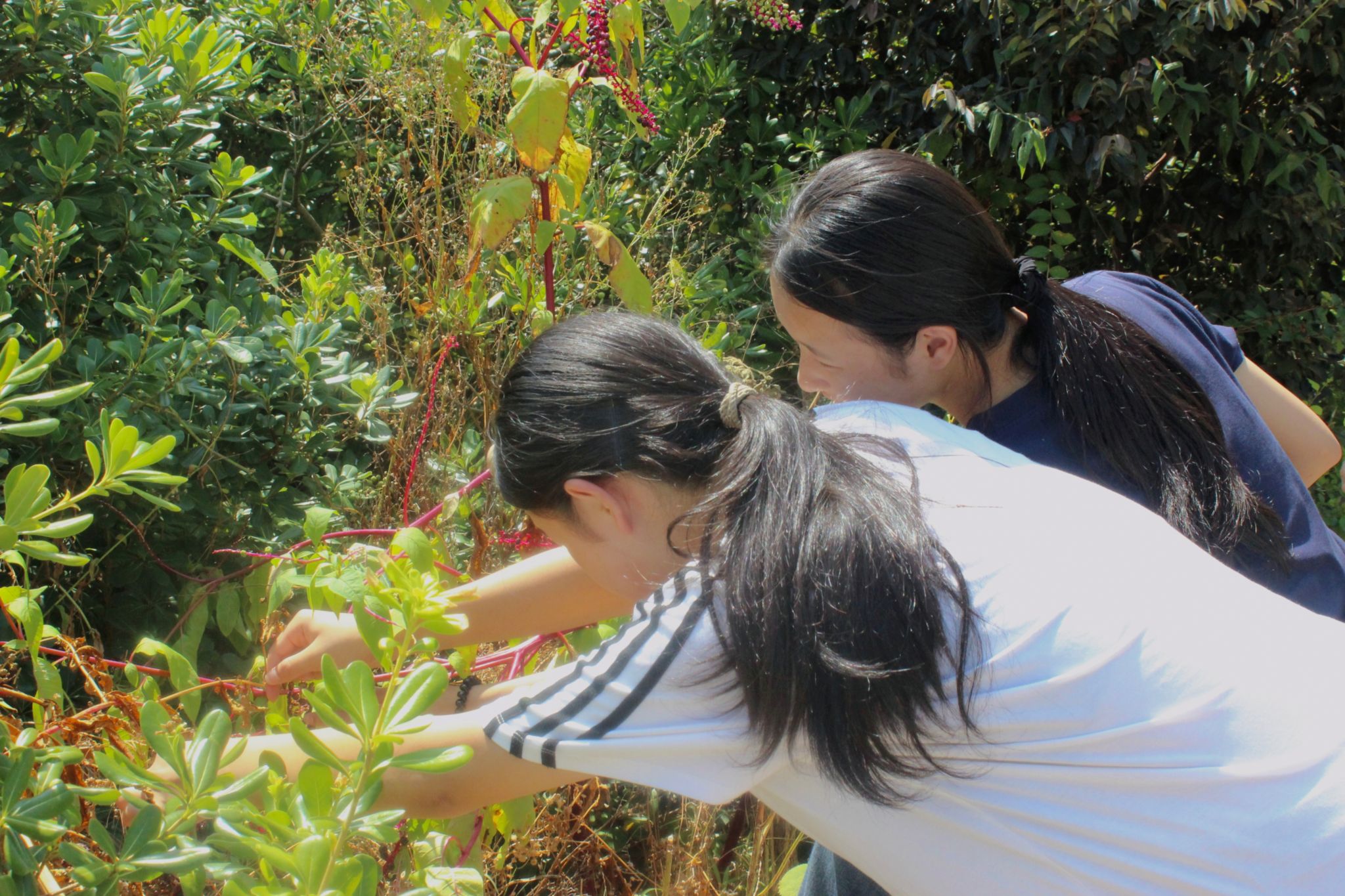威廉希尔中文网站平台
