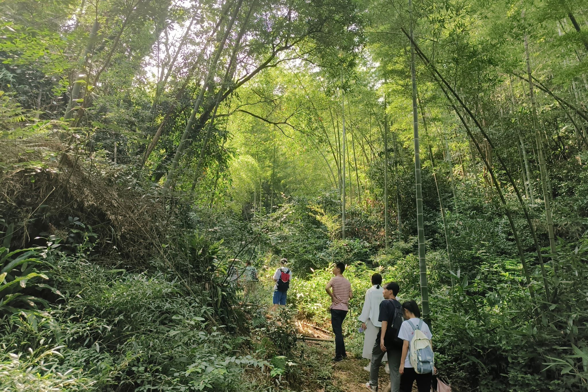 威廉希尔中文网站平台