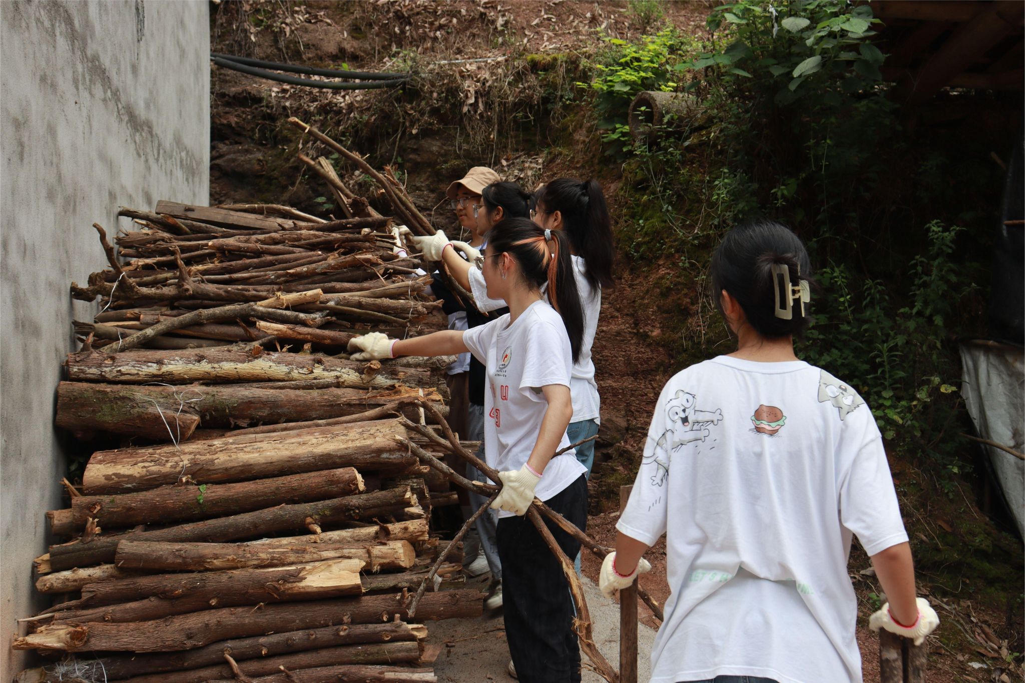 威廉希尔中文网站平台