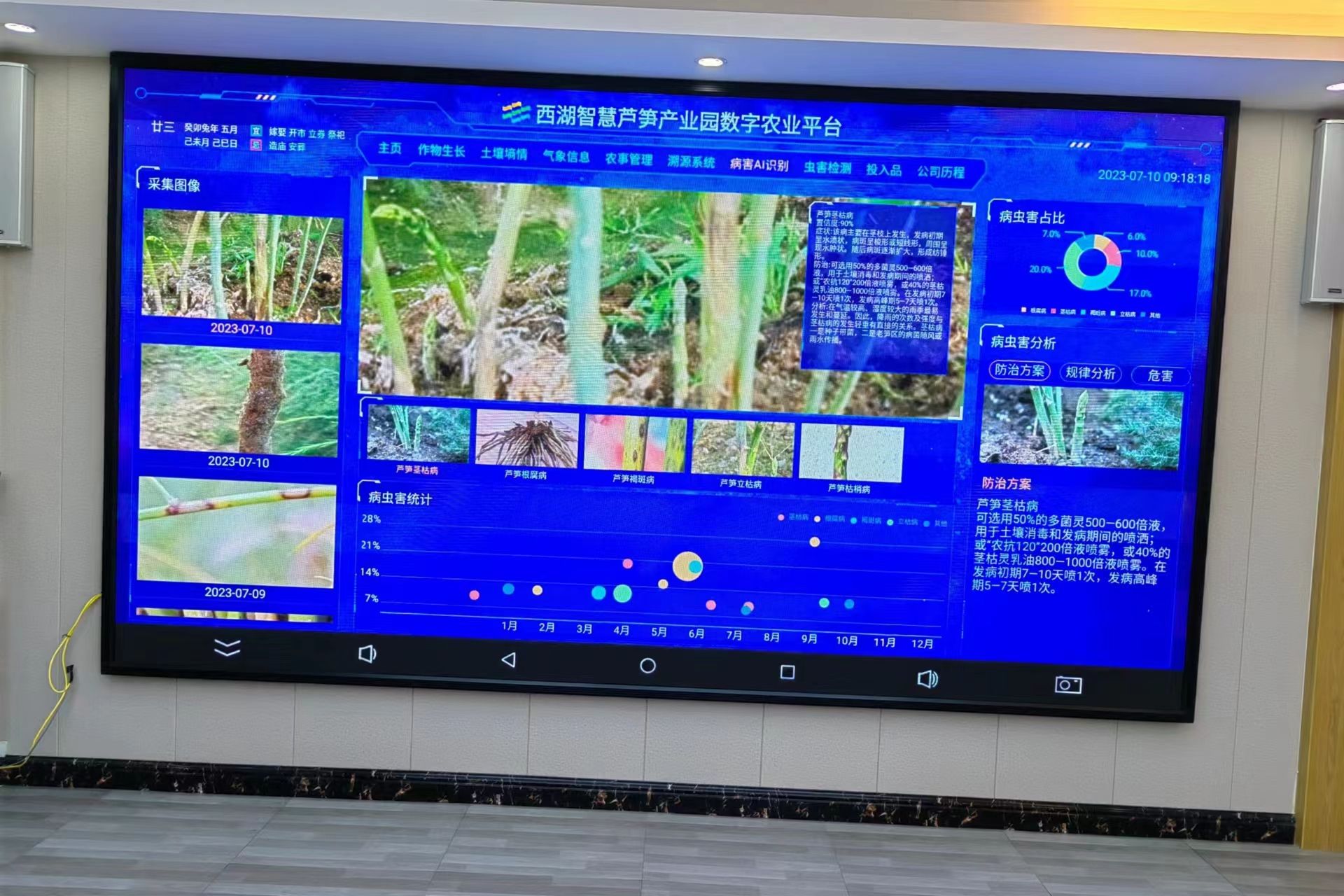 威廉希尔中文网站平台