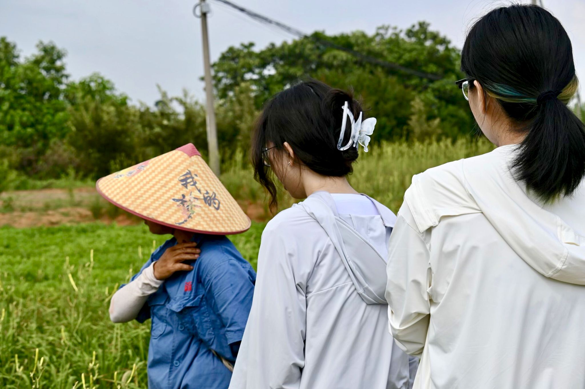 威廉希尔中文网站平台