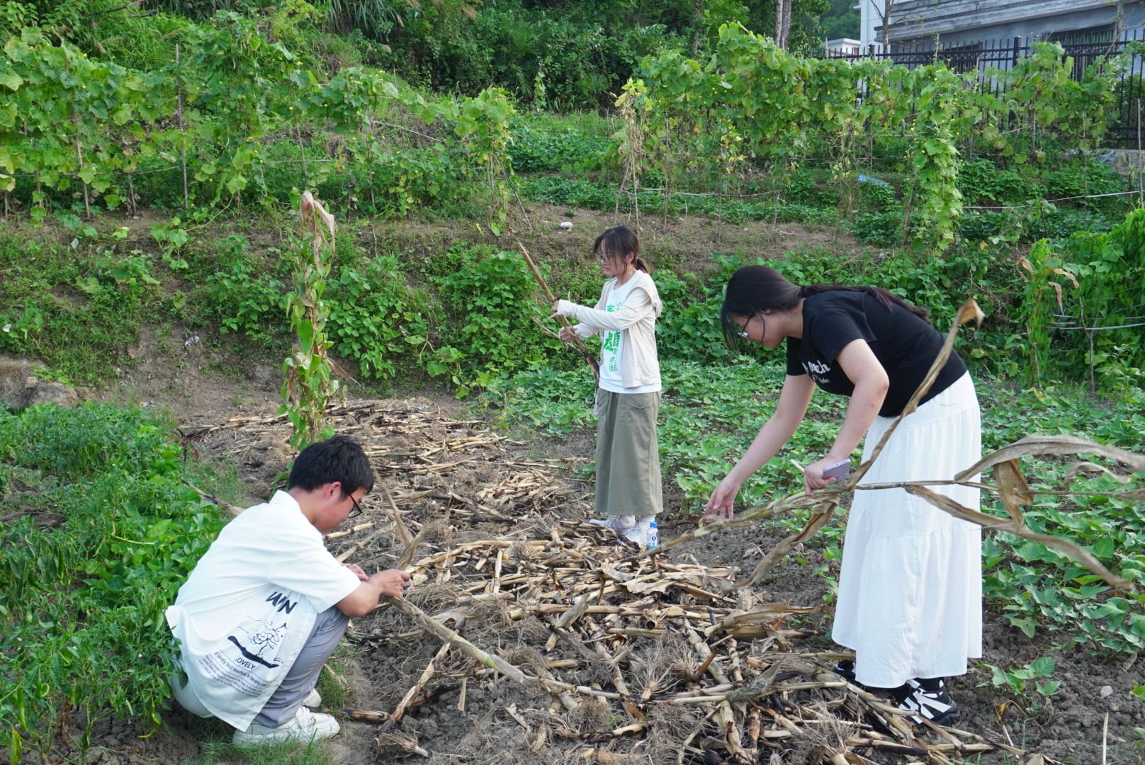 威廉希尔中文网站平台