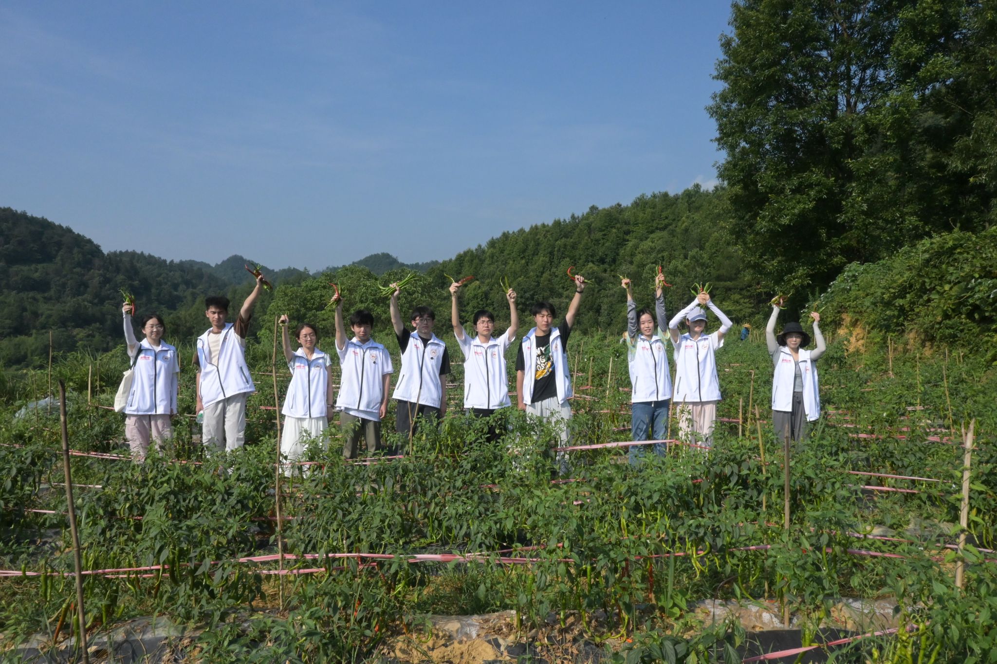 威廉希尔中文网站平台