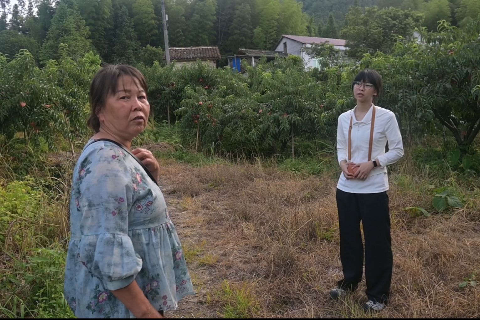 威廉希尔中文网站平台