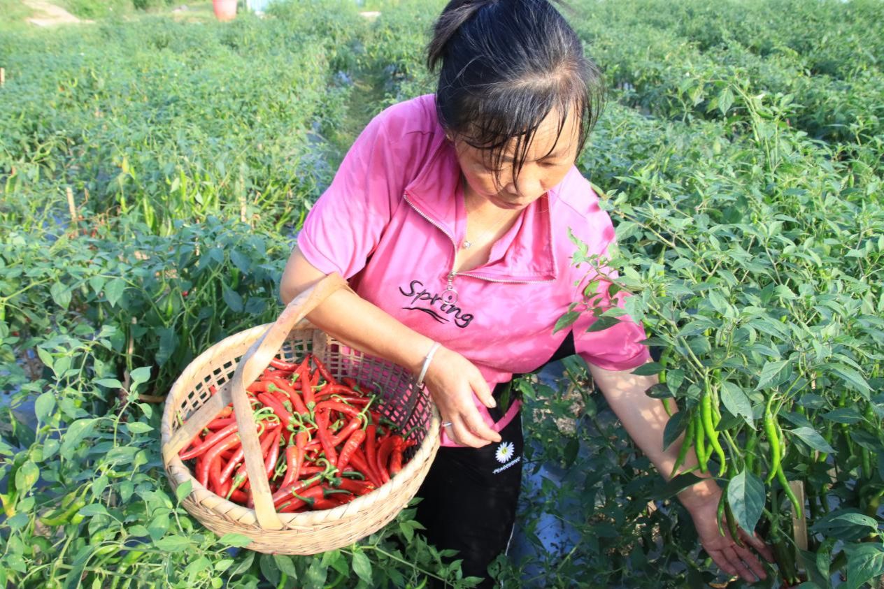 威廉希尔中文网站平台