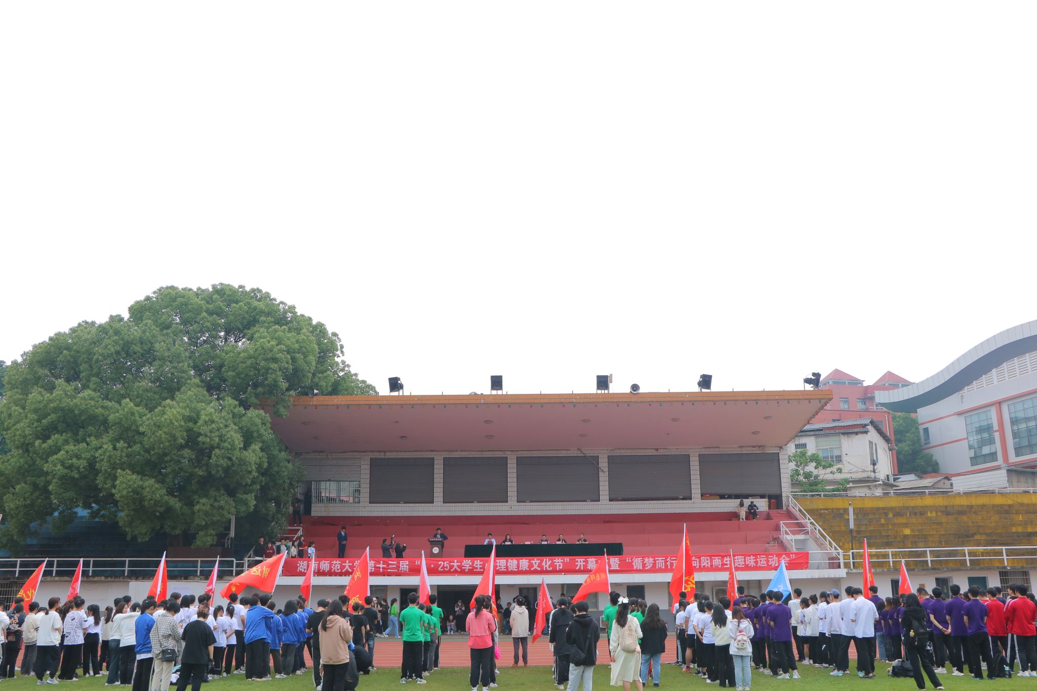 威廉希尔中文网站平台