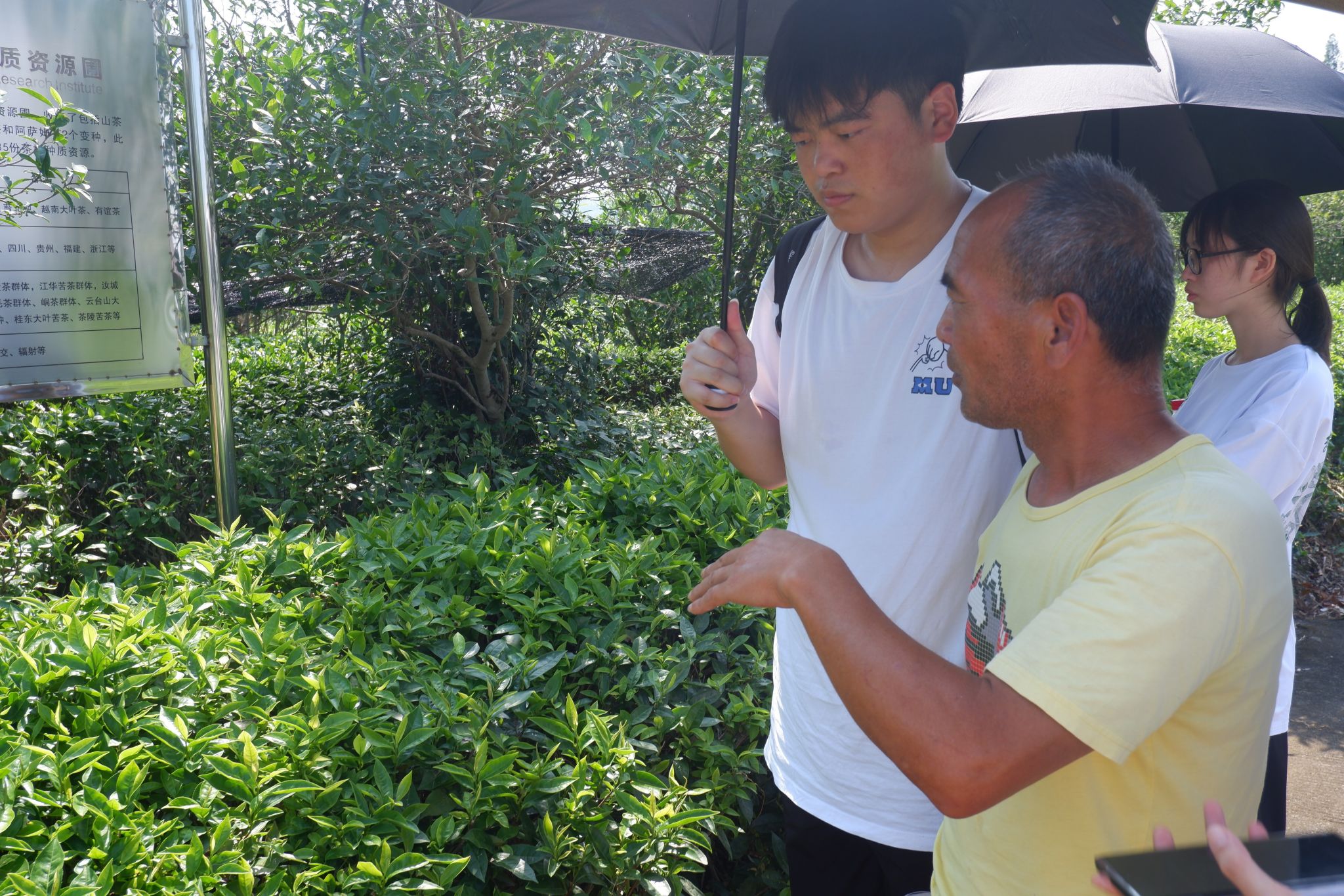 威廉希尔中文网站平台