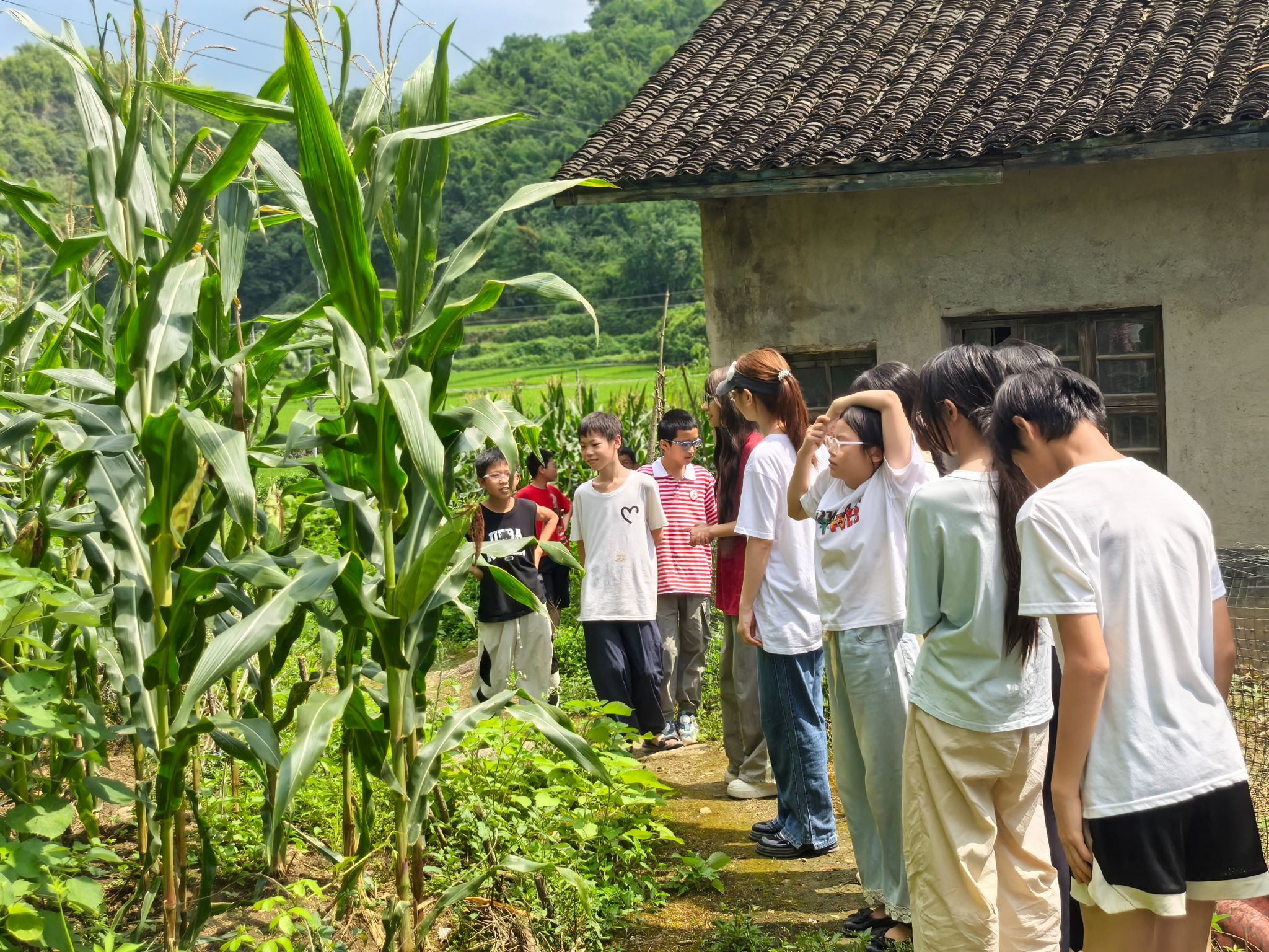 威廉希尔中文网站平台