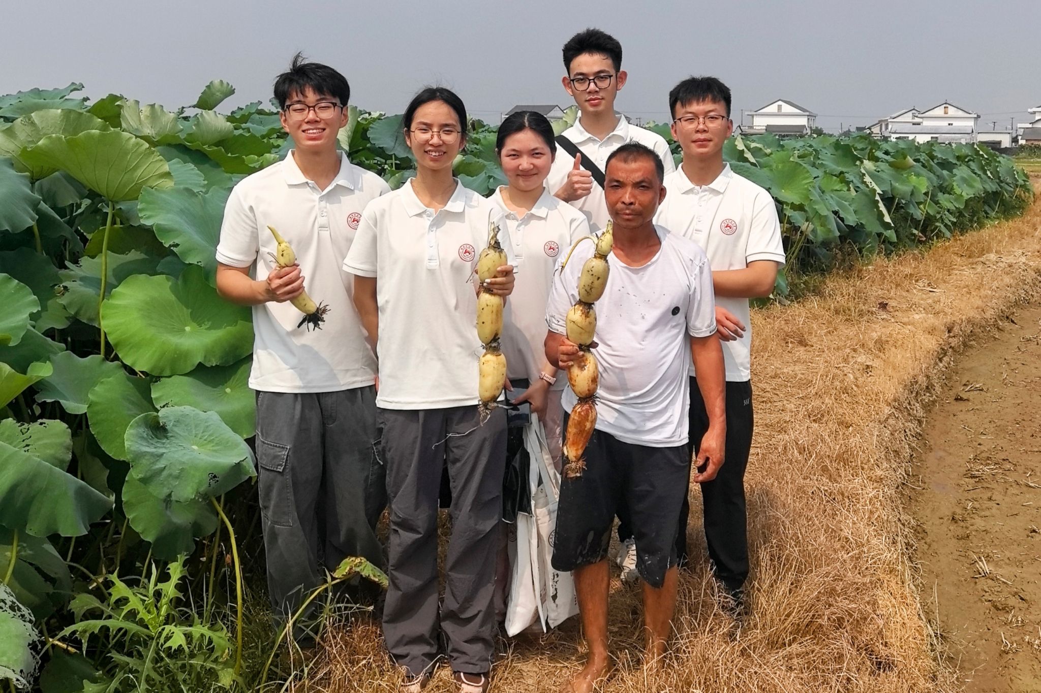 威廉希尔中文网站平台