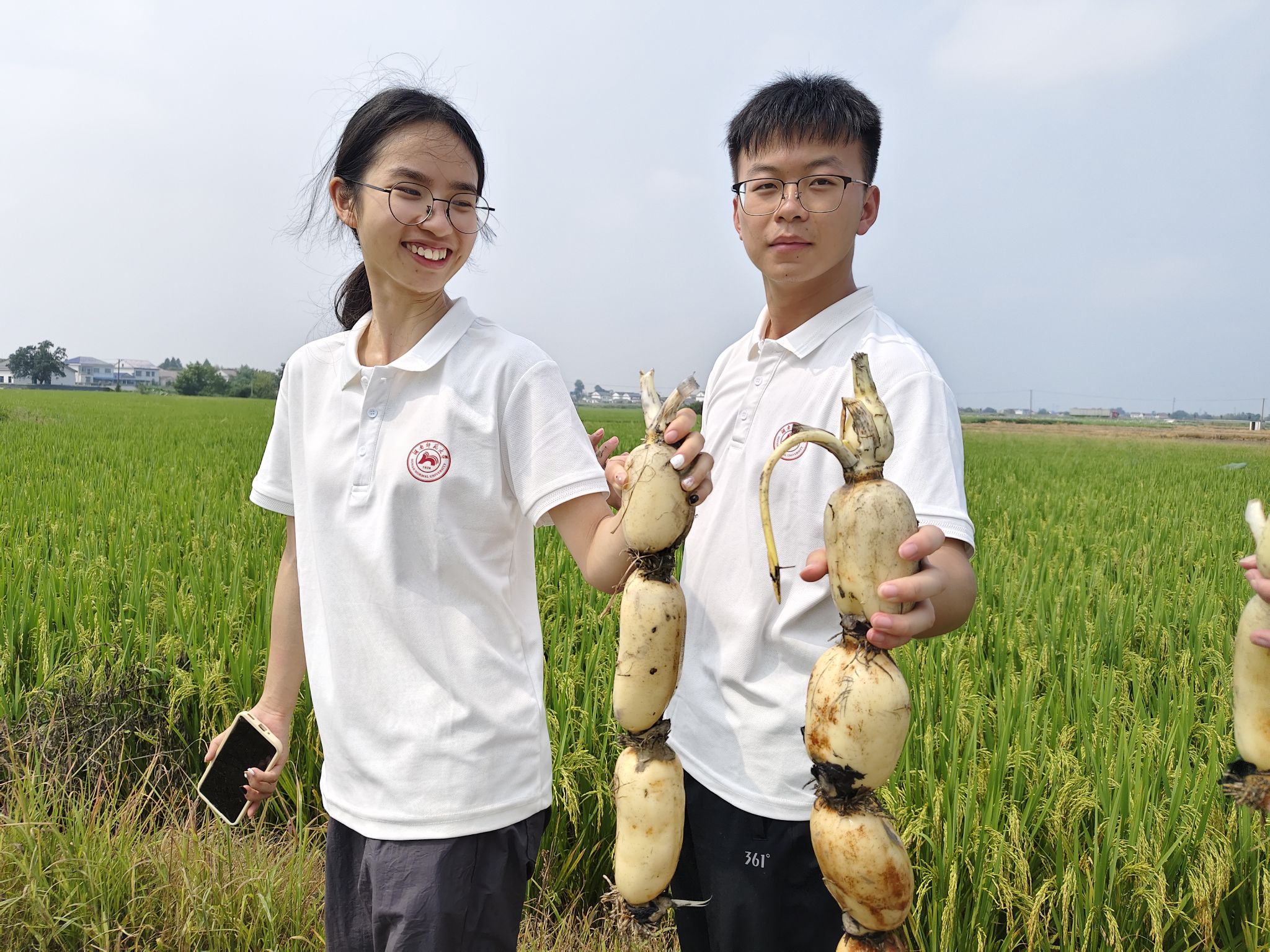 威廉希尔中文网站平台
