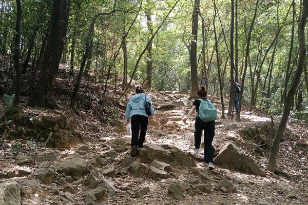 威廉希尔中文网站平台