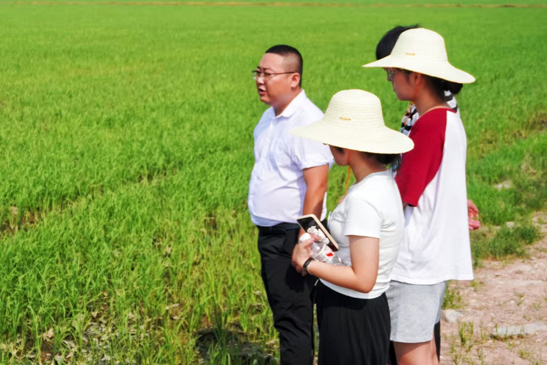 威廉希尔中文网站平台