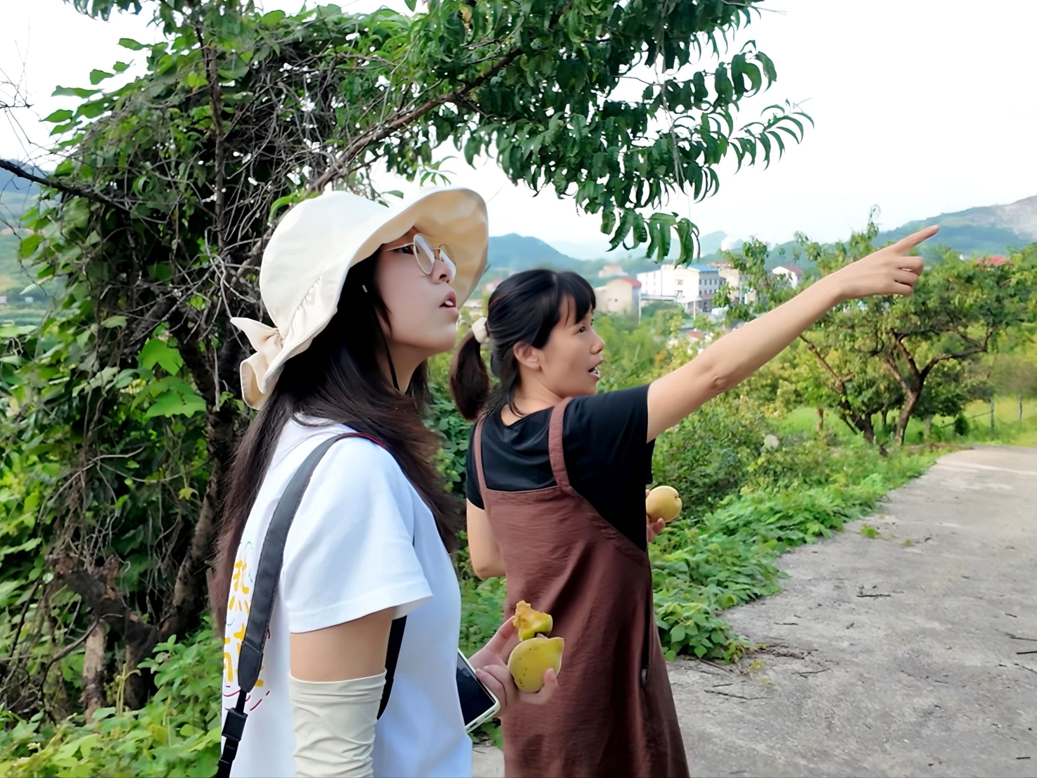 威廉希尔中文网站平台