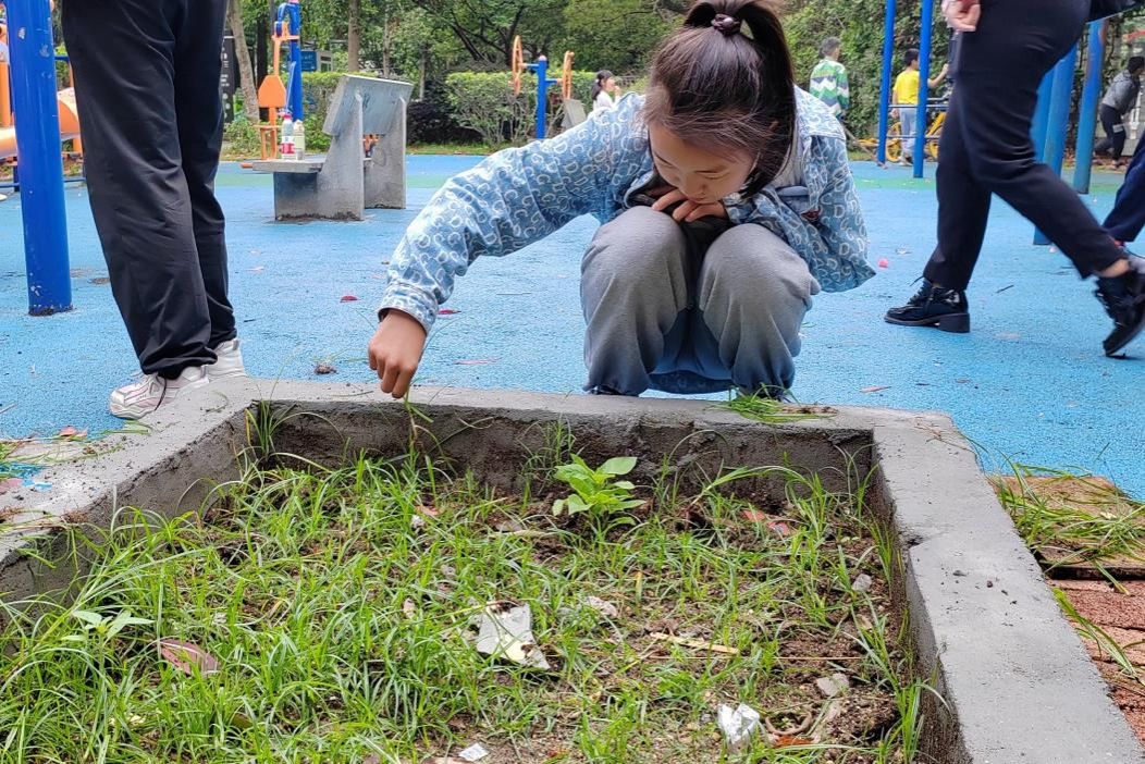 威廉希尔中文网站平台