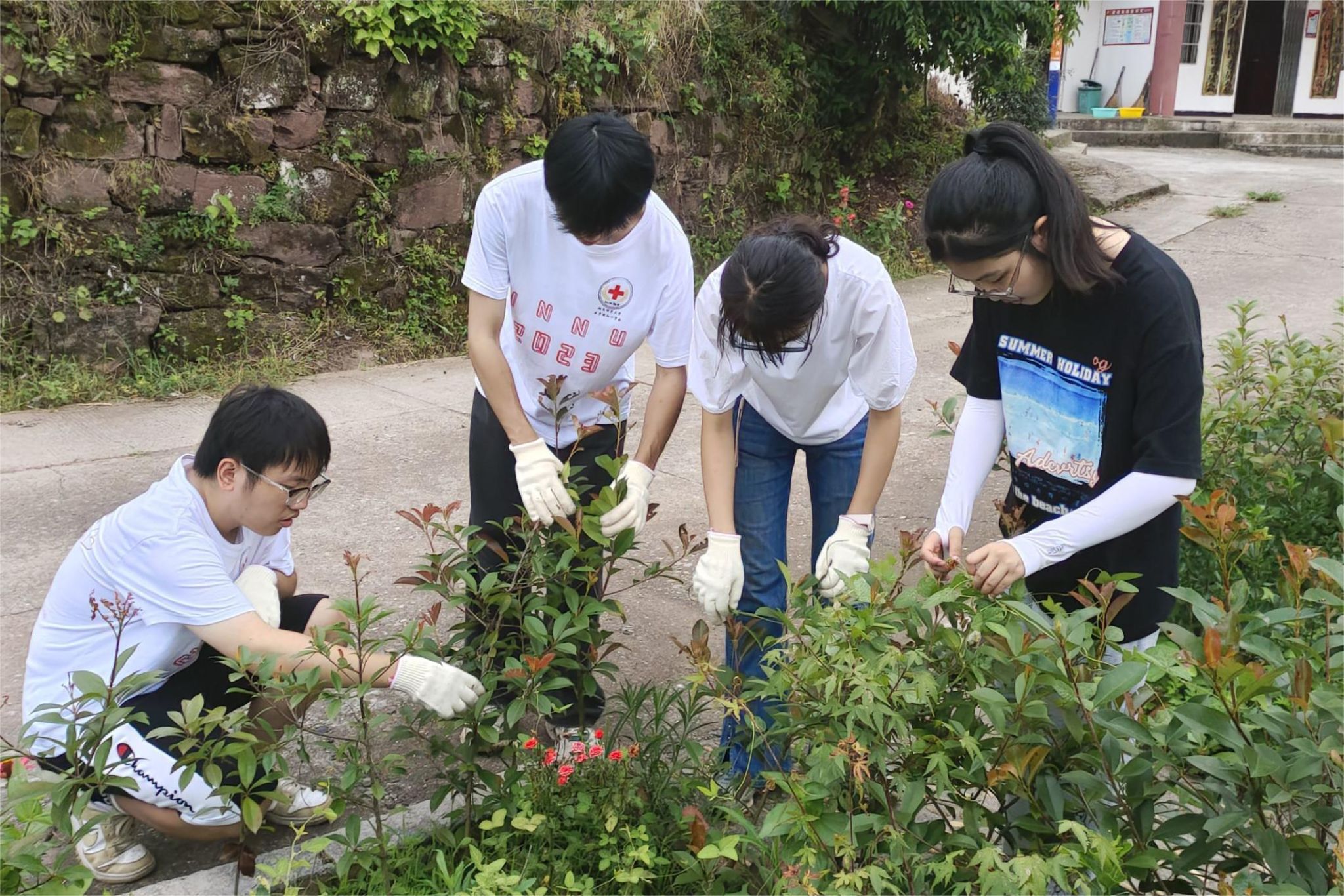 威廉希尔中文网站平台